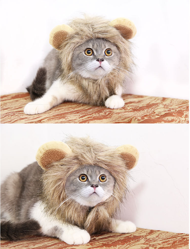 Out-Shine | Halloween Lion Hat for Dog and Cat