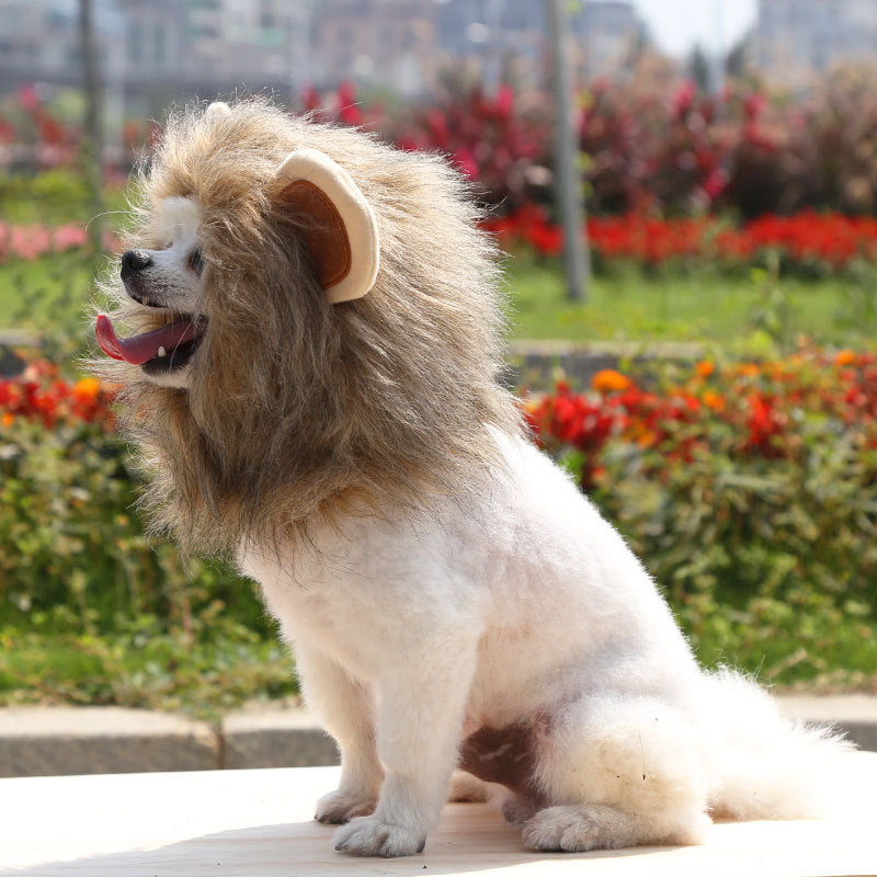 Out-Shine | Halloween Lion Hat for Dog and Cat
